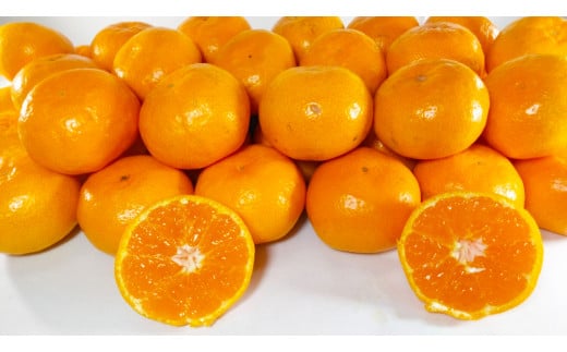 熊本県産 みかん 【手選別まごころ選果】 約3kg サイズ 2L〜S 蜜柑 ミカン フルーツ 果物 くだもの 柑橘 熊本産 九州産【2025年10月下旬〜2026年2月上旬迄発送予定】熊本県熊本市5000果物・フル