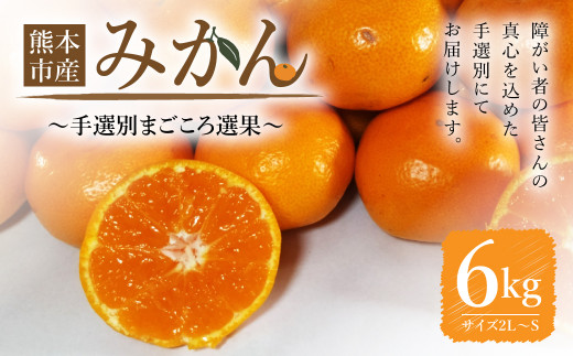 熊本市産 【手選別まごころ選果】 みかん 6kg サイズ2L〜S  蜜柑 ミカン フルーツ 果物 くだもの 柑橘 熊本産 九州産【2025年10月下旬〜2026年2月下旬迄発送予定】熊本県熊本市10000果物・フル