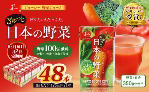 【6ヶ月毎2回定期便】【野菜飲料初!ジャパンフードセレクション グランプリ受賞】 ジューシー 野菜ジュース ぎゅっと日本の野菜 100% 125ml×24本 ジュース 紙パック 国産熊本県熊本市20000