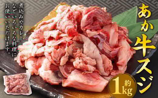 あか牛 スジ 約1kg 熊本 牛肉 国産 国産牛 赤牛 すじ肉 牛すじ熊本県熊本市10000肉牛肉
