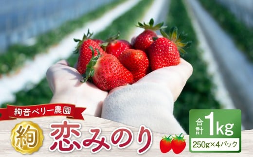 絢音ベリー農園 絢 いちご 恋みのり 1kg (250g×4パック) 苺 先行予約 熊本県 フルーツ 厳選 【2025年12月上旬〜2026年4月下旬迄順次発送予定】熊本県熊本市11000果物・フルーツいちご