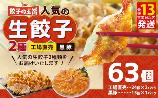 餃子の王国 人気の生餃子 2種 63個 黒豚 生餃子 餃子 ぎょうざ 豚肉 冷凍 国産 熊本 セット熊本県熊本市6000鍋セット・総菜・加工食品総菜