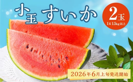 F{Y ʂ 2 XCJ ʕ t[c  Zy2026N6{`6{\zF{F{s11000ʕEt[cEXCJ