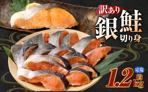 銀鮭カット 切り身 約1.2kg 定塩 バラ冷凍 形不揃いのため訳あり 銀鮭 鮭 塩鮭 サケ シャケ サーモン 切身 魚 冷凍 皮付き 焼き鮭 焼き魚 おかず 家庭用 熊本市熊本県熊本市8000魚介・海産物鮮