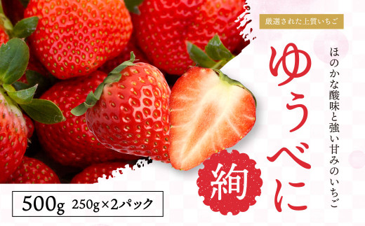 x[_   䂤ׂ 500g i250g× 2pbNj  F{Y t[c Mtg I C`S  ʕ y2025N12{`2026N4{\zF{F{s6000ʕEt[c