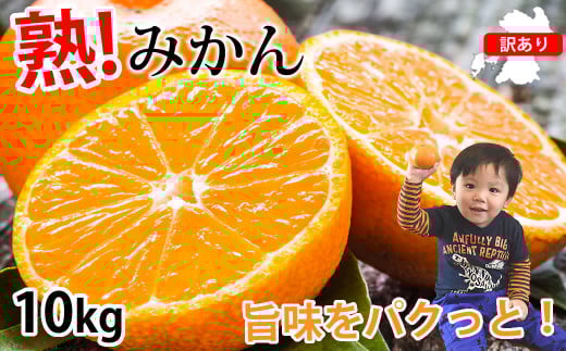 󂠂 ݂ v10kg ~J  ʕ  t[c k y2025N10{2026N3{\zF{F{s10000ʕEt[c݂Ek