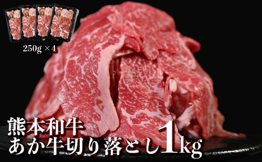 あか牛 切り落とし スライス 約1kg (約250g×4パック) 赤牛 和牛 国産和牛 牛肉 お肉 肉 切落し 薄切り 小分け 熊本県 熊本市 冷凍熊本県熊本市12000肉牛肉