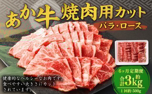 y6ցz  Ăp Jbg ioA[Xj 500g v3kg     ē Ă Ăɂ BBQ  ⓀF{F{s100000