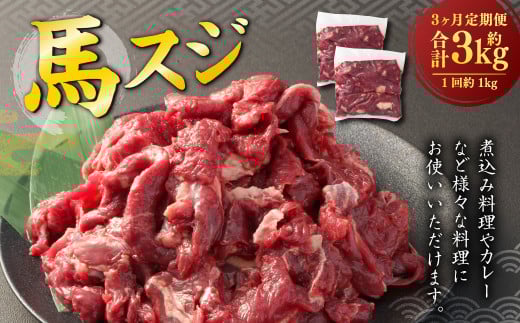 【3ヶ月定期便】 馬スジ 1kg (500g×2パック) 計3kg 馬肉 馬 お肉 肉 おかず 冷凍熊本県熊本市30000肉ジビエ