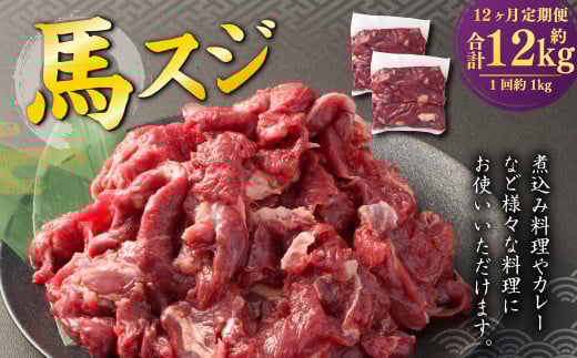 【12ヶ月定期便】 馬スジ 1kg (500g×2パック) 計12kg 馬肉 馬 お肉 肉 おかず 冷凍熊本県熊本市120000肉ジビエ