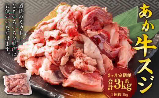 【3ヶ月定期便】 あか牛スジ 1kg (500g×2パック) 計3kg あか牛 牛肉 牛 お肉 肉 おかず 冷凍熊本県熊本市30000肉牛肉