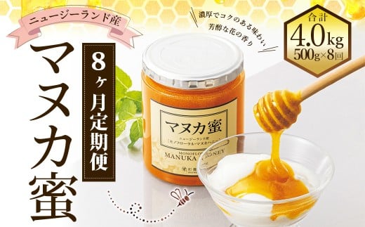 【8ヶ月定期便】ニュージーランド産 マヌカ蜜 約500g×8ヶ月 / 計約4.0kg マヌカハニー マヌカ モノフローラル・マヌカハニー 蜂蜜 はちみつ ハチミツ 健康食品 定期便 杉養蜂園熊本県熊本市2