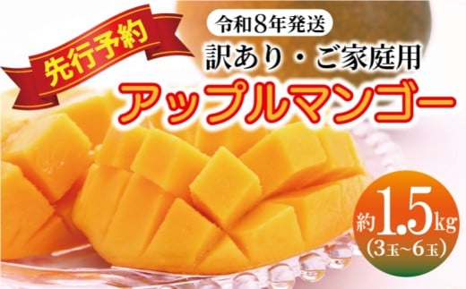 【訳あり・ご家庭用】アップルマンゴー(約1.5kg)【先行予約・2026年発送】 〇 マンゴー アップルマンゴー アーウィン ワケアリ 家庭用 訳アリ 沖縄 読谷村 うちなーすぐりむん 地場産品 自