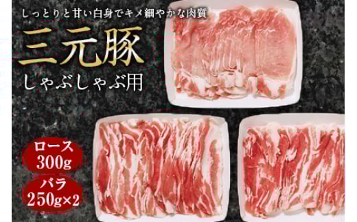 O Ԃԗp F2Y-0417R`10000ؓ