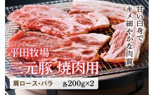 O ēp F2Y-0418R`12000ؓ