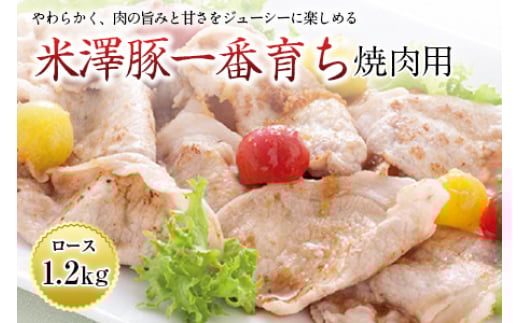 米澤豚一番育ち 焼肉用 F2Y-0645山形県31000肉豚肉
