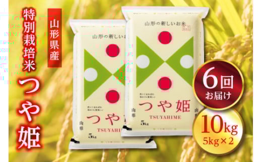 sցtR`Y ʍ͔| P 10kg(5kg×2)×6   R`Y j Mtg   uh  ~ { R ͂  Hi R` F2Y-3083R`99000āEp