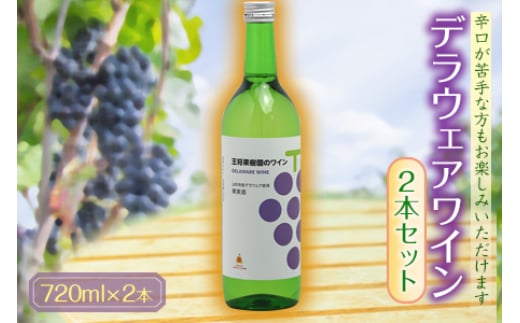 デラウェアワイン2本セット F2Y-1299山形県13000酒・アルコールワイン