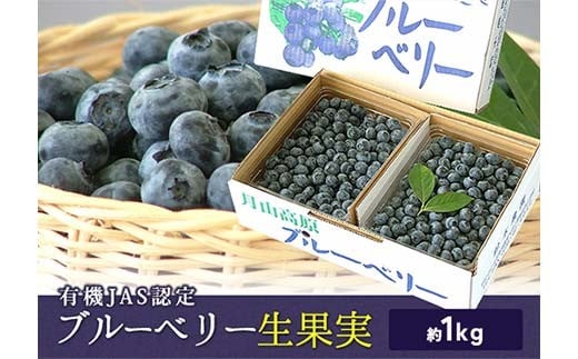 《先行予約 2026年度発送》《数量限定・期間限定》有機JAS認定 栽培ブルーベリー 生果実 約1kg FSY-2386山形県23000果物・フルーツその他 果物・フルーツ