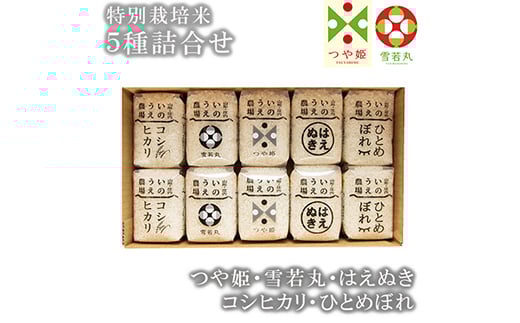 井上農場 5種詰合せ≪山形県産 つや姫 雪若丸 はえぬき コシヒカリ ひとめぼれ≫  米 お米 ブランド米 銘柄米 備蓄 日本米 こしひかり コメ ごはん ご飯 食品 山形県 F2Y-1954山形県17000米・パ