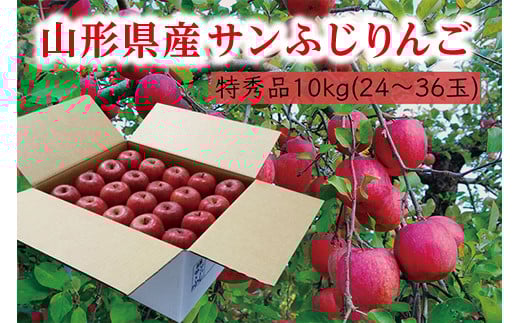 《先行予約 2025年度発送》【山形県産】サンふじりんご特秀品10kg  りんご リンゴ 林檎 デザート フルーツ 果物 くだもの 果実 食品 山形県 FSY-0403山形県26000果物・フルーツりんご・梨