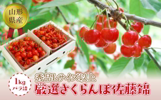 《2026年度発送》【山形県産】さくらんぼ佐藤錦1kgバラ詰(秀品Lサイズ以上) FSY-1289山形県21000果物・フルーツさくらんぼ