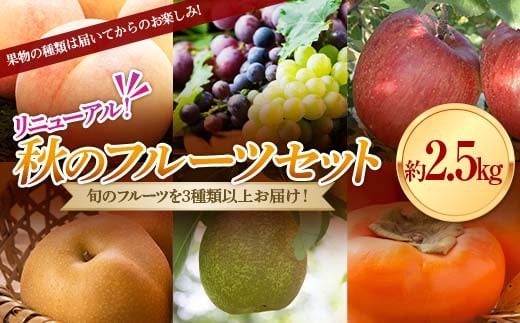 《先行予約 2025年度発送》秋のフルーツセット2.5kg ぶどう ブドウ 葡萄 デザート フルーツ 果物 くだもの 果実 食品 山形県 FSY-1895山形県12000果物・フルーツマスカット・ぶどう