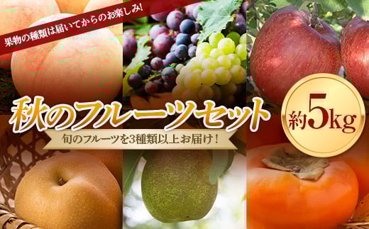 ss\ 2025NxtH̃t[cZbg5kg    }XJbg fU[g t[c ʕ  ʎ Hi R` FSY-1896R`22000ʕEt[cE