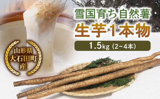 山形県産 雪国育ち自然薯 生芋1本物 1.5kg(2〜4本) F2Y-5113山形県20000野菜・きのこ大根・ニンジン・根菜類