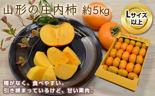 《先行予約 2025年度発送》山形の庄内柿 約5kg(27〜32玉)L以上  柿 かき デザート フルーツ 果物 くだもの 果実 食品 山形県 FSY-0383山形県10000果物・フルーツその他 果物・フルーツ