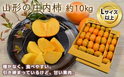 《先行予約 2025年度発送》山形の庄内柿 約10kg(54〜64玉)L以上  柿 かき デザート フルーツ 果物 くだもの 果実 食品 山形県 FSY-0384山形県15000果物・フルーツその他 果物・フルーツ
