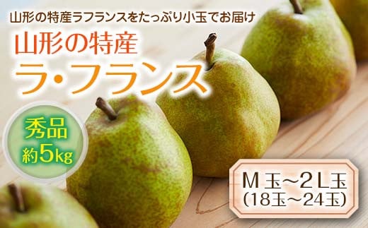 《先行予約 2025年度発送》山形の特産ラ・フランス約5kg☆小玉をお届け!  なし ナシ 梨 デザート フルーツ 果物 くだもの 果実 食品 山形県 FSY-0115山形県12000果物・フルーツりんご・梨