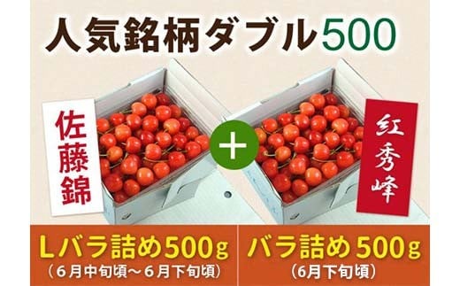《先行予約 2026年度発送》【頒布会】さくらんぼ人気銘柄ダブル500(佐藤錦秀品Lサイズ&紅秀峰秀品2Lサイズ) FSY-0155山形県35000果物・フルーツさくらんぼ