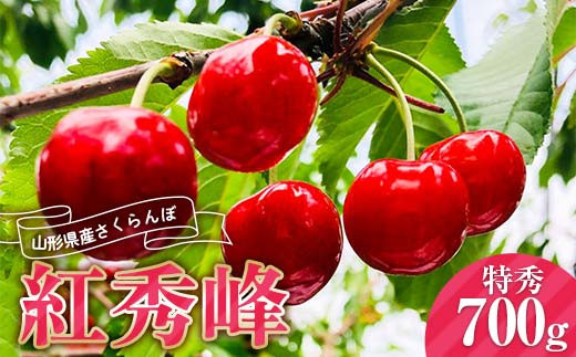 《2026年産先行受付》山形県産さくらんぼ 【紅秀峰 特秀品】700g 2Lサイズ以上 FSY-0013山形県21000果物・フルーツさくらんぼ
