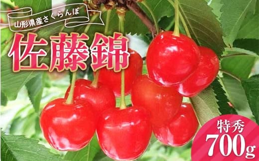 《2026年産先行受付》山形県産さくらんぼ【佐藤錦 特秀品】700g Lサイズ以上 FSY-0014山形県17000果物・フルーツさくらんぼ