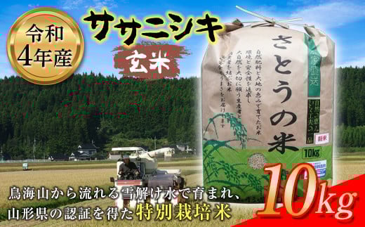 ߘa4NY TTjVL  10kg ʍ͔| F2Y-2632R`12000āEpāEGāEāE