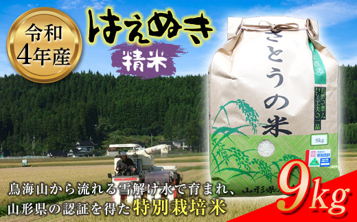 令和4年産 はえぬき 精米9kg 特別栽培米 F2Y-2636山形県12000米・パン白米