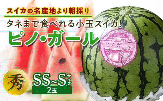 ss\ 2026Nxt^l܂ŐHׂ鏬ʃXCJIyXCJ̖Yn蒩̂zsmEK[  XCJ  Z fU[g t[c ʕ  ʎ Hi R` FSY-0119R`17