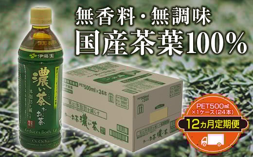 12か月定期便 お〜いお茶 濃い茶 PET 500ml 1ケース(24本)【機能性表示食品】合計288本 ペットボトル 緑茶 飲料 国産茶葉 カテキン 定期便 F2Y-3350山形県118000お茶・飲料お茶