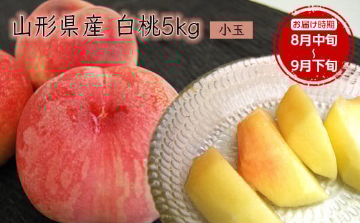 《先行予約 2026年度発送》【山形県産】白桃5kg(小玉20〜25玉)  もも モモ 桃 デザート フルーツ 果物 くだもの 果実 食品 山形県 FSY-2501山形県14000果物・フルーツもも・すもも