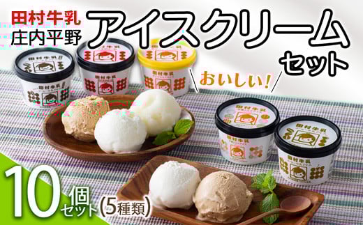 【田村牛乳】庄内平野おいしいアイスクリームセット(5種10個) F2Y-5340山形県14000菓子・スイーツアイス・ジェラート