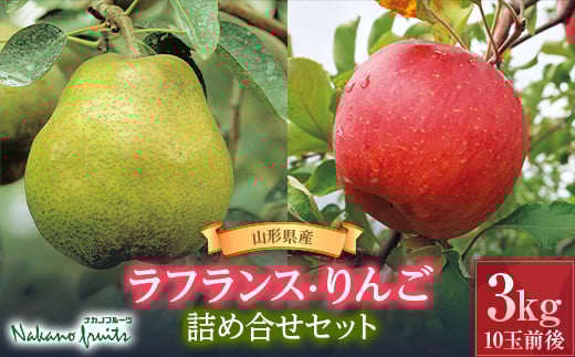 【仲野観光果樹園】《2025年先行予約》山形県産 ラ・フランスとりんごの詰め合わせセット3kg(10玉前後) 2025年11月上旬から順次発送 りんご リンゴ 林檎 デザート フルーツ 果物 くだもの
