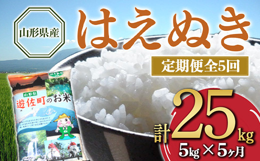 yցzR`Y ͂ʂ 5kg×5Aiv25kgj F2Y-3215R`41000āEp