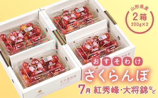 【2026年度先行予約品】おすそ分けさくらんぼセット7月 FSY-0084山形県17000果物・フルーツさくらんぼ