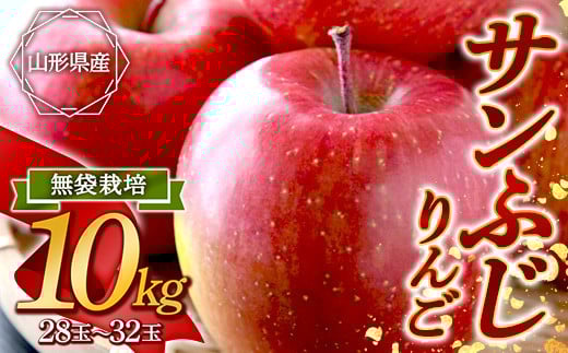 《2025年発送》サンふじりんご 約10kg FSY-0869山形県20000果物・フルーツりんご・梨