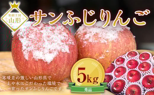 サンふじりんご 5kg (約16〜20玉) ギフト箱入り 山形県産 《2025年11月中旬から発送開始》  りんご リンゴ 林檎 デザート フルーツ 果物 くだもの 果実 食品 山形県 FSY-0196山形県16000果物・フルー