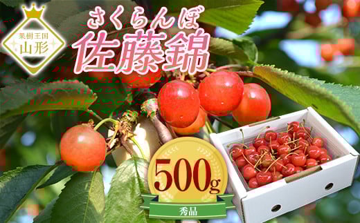 《先行予約 2026年6月上旬発送》山形県産さくらんぼ佐藤錦 秀品 L玉 500gパック 化粧箱入り FSY-0197山形県15000果物・フルーツさくらんぼ
