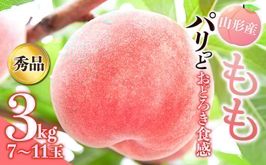 《先行予約 2026年発送》パリっとおどろき食感!山形産もも3kg  もも モモ 桃 デザート フルーツ 果物 くだもの 果実 食品 山形県 FSY-2473山形県17000果物・フルーツもも・すもも