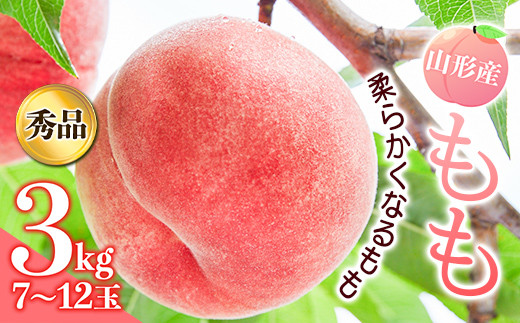 《先行予約 2026年発送》山形産もも3kg(柔らかくなるもも)  もも モモ 桃 デザート フルーツ 果物 くだもの 果実 食品 山形県 FSY-2449山形県17000果物・フルーツもも・すもも