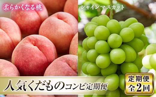 ss\ 2026NtlC̃RrIց`ƃVC}XJbg`     fU[g t[c ʕ  ʎ Hi R` FSY-2450R`37000ʕEt[cE